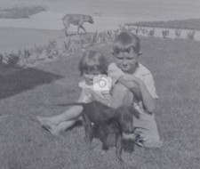 Brother sister dogs for sale  Mansfield