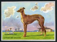 Greyhound rare issue for sale  COLEFORD