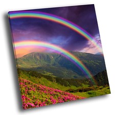Colourful rainbow hill for sale  STRABANE