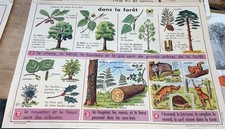 Carte affiche scolaire d'occasion  Forbach