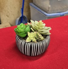 Artifical succulent plant for sale  Minneapolis
