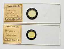 Pair antique wm. for sale  BOREHAMWOOD