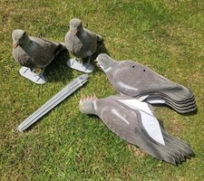 Pigeon decoys flocked for sale  COVENTRY