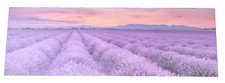 Quadro stampa tela usato  Santa Marinella