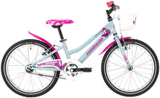 Bici bicicletta mountabike usato  Pace del Mela