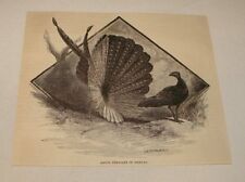 1886 magazine engraving for sale  Wilmington
