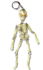 Skeleton bones dangly for sale  SUTTON-IN-ASHFIELD