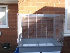 Small parrot budgie for sale  BRIDLINGTON