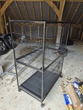 Large chinchilla rat for sale  HENLEY-ON-THAMES