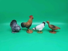 Rooster hen chicken for sale  Fair Lawn