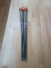 Carbonpfeile sphere ghost gebraucht kaufen  Falkensee