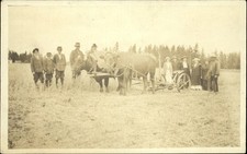 Rppc oxen drawn for sale  Sandusky