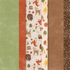 Stampin designerpapier schöne gebraucht kaufen  Nesse-Apfelstädt, Nottleben