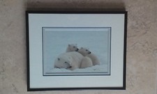 Polar bear cubs for sale  Suwanee