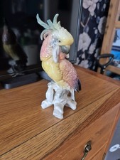 cockatoo parrot for sale  STANFORD-LE-HOPE