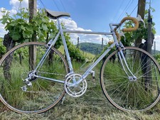 Seltenes casati settantenario gebraucht kaufen  Freiburg im Breisgau