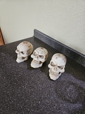 Three scary skulls for sale  Grants Pass