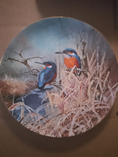 Kingfisher dawn david for sale  BARNSLEY