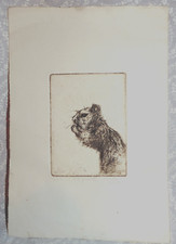Chipmunk etching artist for sale  Inglis
