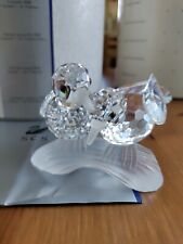 Swarovski tortore scs usato  Fabriano