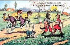 Chats. 2196. pied d'occasion  France