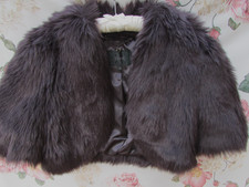 Plum brown silky for sale Plum brown silky for sale  DAVENTRY