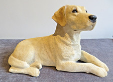 Sandicast golden labrador for sale  TONBRIDGE