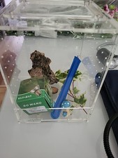 Jumping spider enclosure for sale  HOPE VALLEY