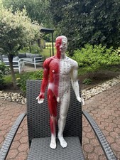 Akupunktur modell 82 gebraucht kaufen  Langenfeld (Rheinland)