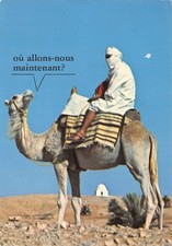 Tunisie targui d'occasion  France