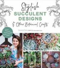 Stylish succulent designs for sale  Aurora