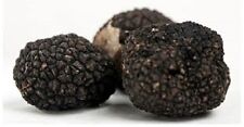 Black oregon truffle for sale  USA