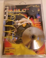 Variatore malossi multivar usato  Duino Aurisina