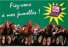 Animaux chevaux vincennes d'occasion  Fruges