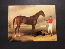 Wagner photo horse for sale  Hometown