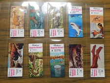 Cadbury dangerous animals for sale  BATH