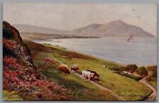 Whiting bay arran for sale  REDCAR