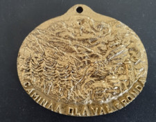 Medaglia valsesia caminaa usato  Italia