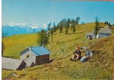 1984 craveggia colma usato  Montebelluna