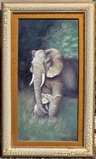 Framed protective care for sale  Roseburg
