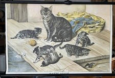 Schulwandkarte rollkarte katze gebraucht kaufen  Köln