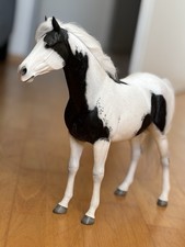 Jxk american paint gebraucht kaufen  Burghausen