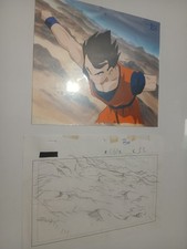Dbz cel ulos d'occasion  Bordeaux-