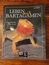 Leben bartagamen gebraucht kaufen  Althütte