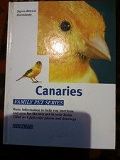 Canaries rittrich dorenkamp for sale Canaries rittrich dorenkamp for sale  PETERBOROUGH