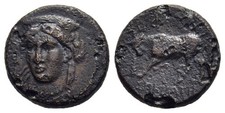 Fitz ionia phygela gebraucht kaufen  München