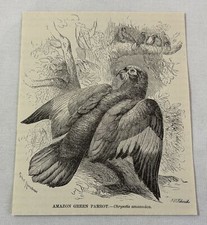 1885 book engraving for sale  Wilmington