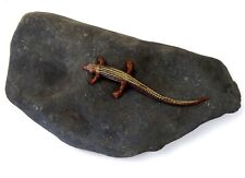 Basking rock vivarium for sale  KINGSTON UPON THAMES