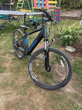 Fafrees elektrofahrrad gebraucht kaufen  Bann, Hauptstuhl, Horbach