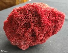 Bloc corail rouge d'occasion  Les Essarts